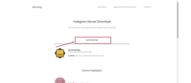 Menyimpan Story Instagram dengan situs